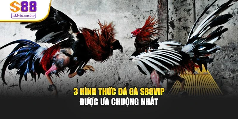 3 hình thức đá gà s88vip được ưa chuộng nhất