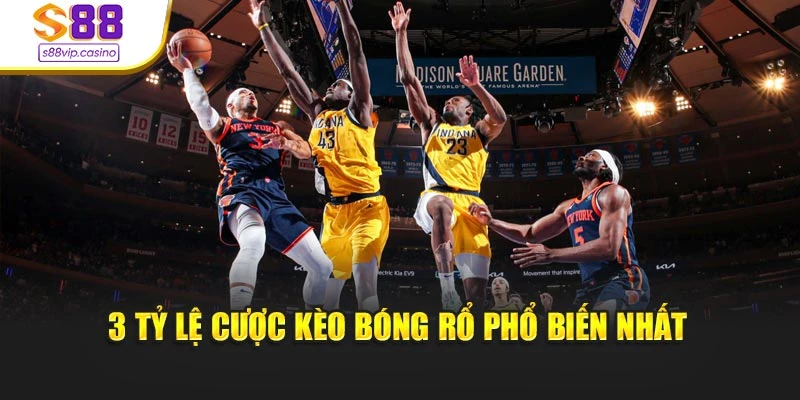 3 tỷ lệ kèo cược bóng rổ phổ biến nhất