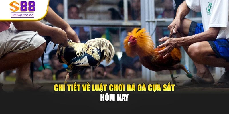 Chi tiết về luật chơi đá gà cựa sắt hôm nay