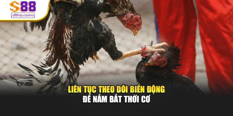 Liên tục theo dõi biến động để nắm bắt thời cơ
