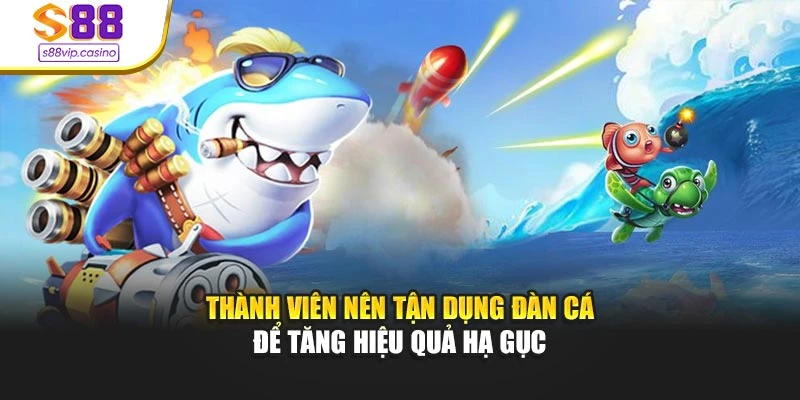 Thành viên nên tận dụng đàn cá để tăng hiệu quả hạ gục